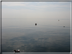 foto Lago di Garda